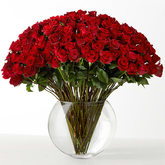 The Idealist – THE MOST BLOOMS & MORE, Grand Bay AL