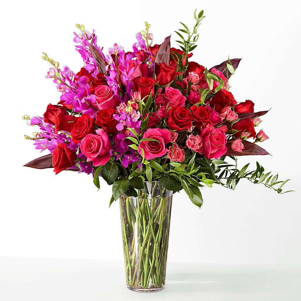 The Honeymoon – THE MOST BLOOMS & MORE, Grand Bay AL