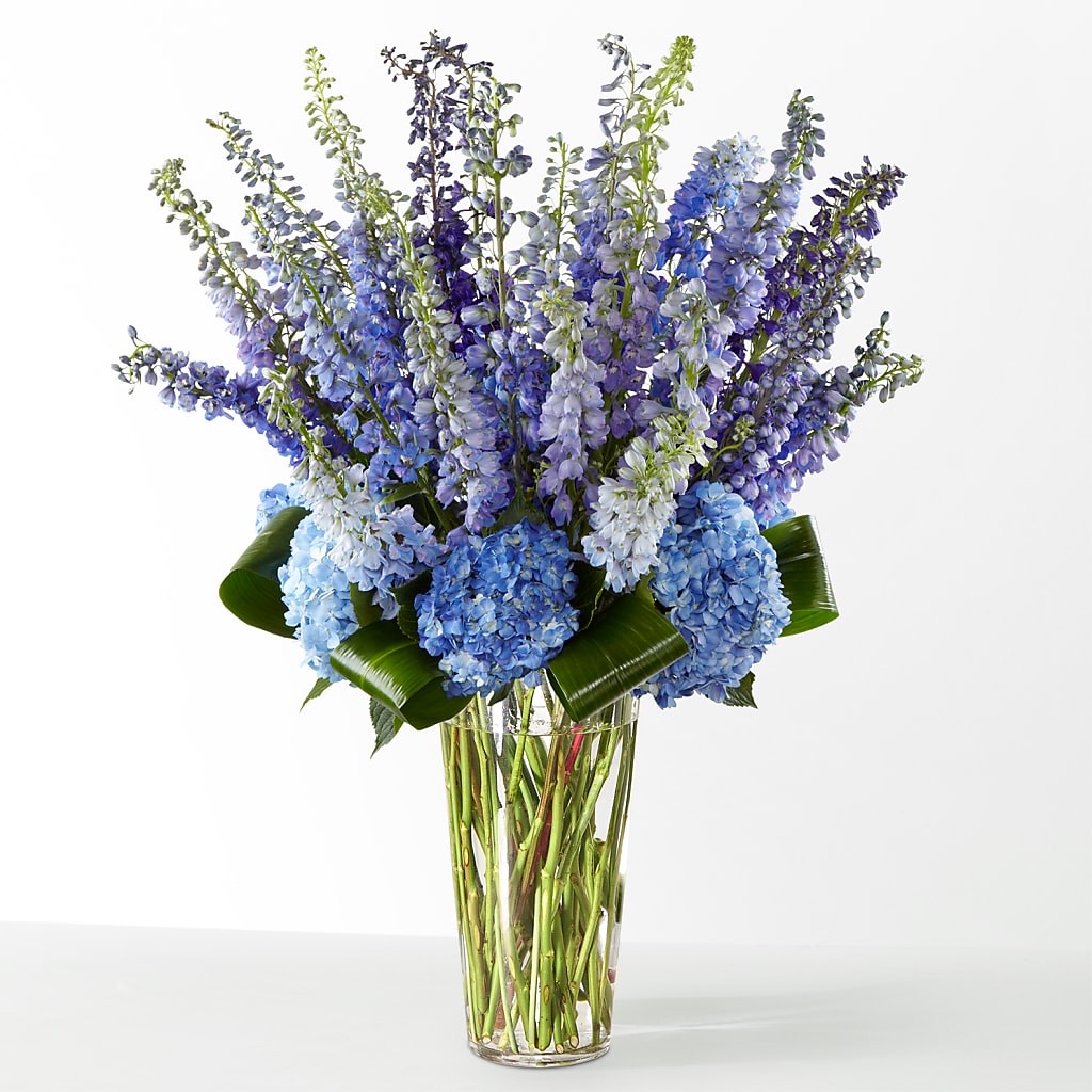 The Editorial – THE MOST BLOOMS & MORE, Grand Bay AL