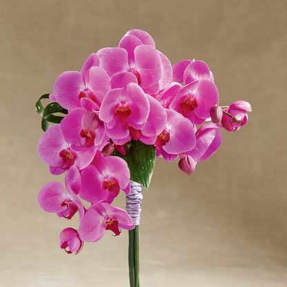 Glorious Bouquet – THE MOST BLOOMS & MORE, Grand Bay AL