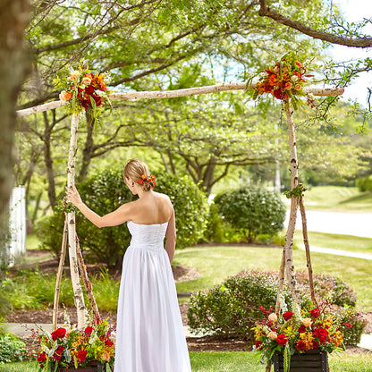 Arbor of Love Archway – THE MOST BLOOMS & MORE, Grand Bay AL