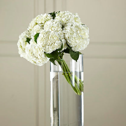 White Hydrangea Hand-Tied Bouquet – THE MOST BLOOMS & MORE, Grand Bay AL