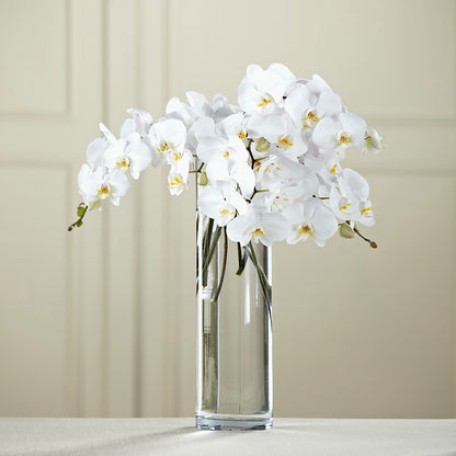 White Phalaenopsis Bouquet – THE MOST BLOOMS & MORE, Grand Bay AL